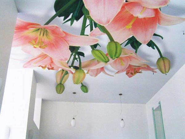 Сделать помещение более «живым» можно легко: достаточно поклеить на потолок яркие фотообои
