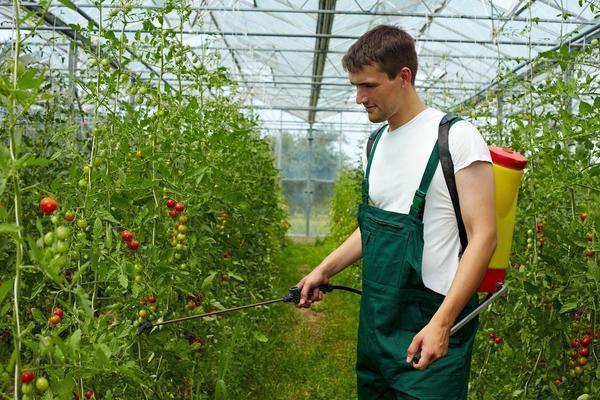 Средства для профилактики болезней в теплице продаются по доступной цене в магазинах для овощеводства 