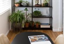 plants-interiordesignrulz-1-1