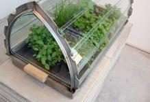 225534-portablegreenhouse2