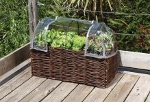 Burgon--Ball-Home-Allotment-Salad-Planter-with-Greenhouse-cover-open