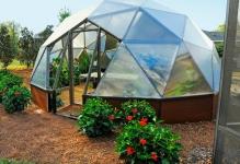 Backyard-Greenhouse-tumblrns4jzgOZgd1sj3j9oo11280