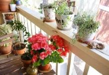 decorating-a-small-balcony-018