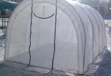 tent-teplica51