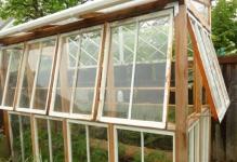 green-houses-made-with-old-windows-7