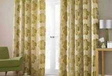 1365503548lana-green-readymade-lined-eyelet-curtains