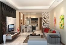 living-room-partition-nice-with-photos-of-living-room-style-on-design