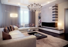 elegant-living-room-design
