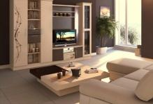 best-inspiration-cozy-functional-living-room-interior