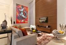 Contemporary-living-room-sofa-pillow-furry-rug