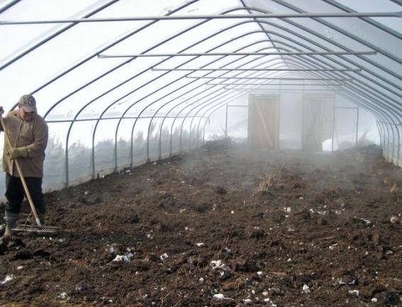 Обеззаразить почву в теплице можно химическим или термическим способом