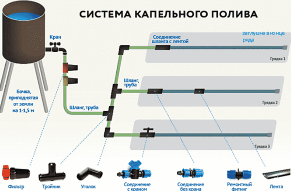 Принцип системы капельного полива