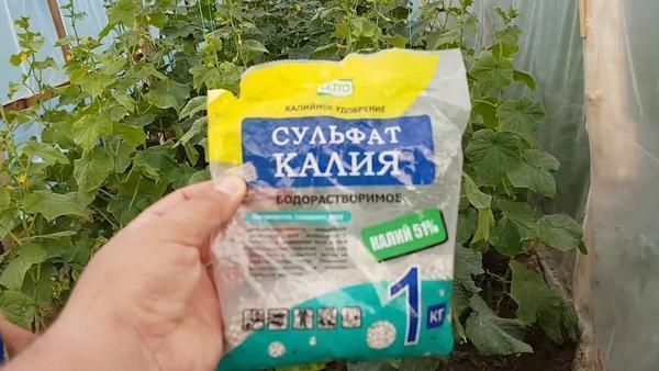 Сульфат калия – это одно из самых лучших удобрений