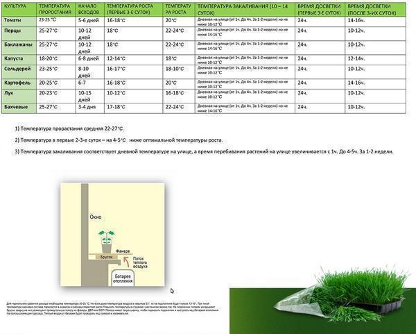 Выбирать температуру для теплицы следует в зависимости от типа выращиваемого растения 