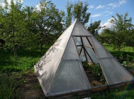 Многие пользователи подобных теплиц говорят о чудесных свойствах пирамиды