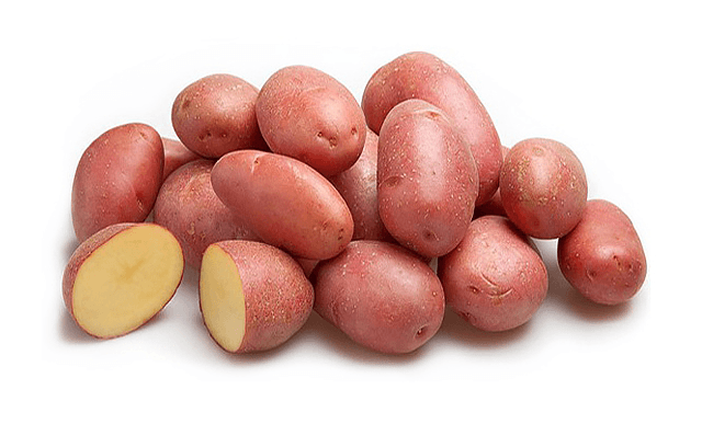Картофель сорта Ред Скарлетт