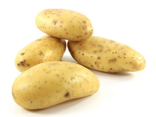 Клубни картофеля Императрица