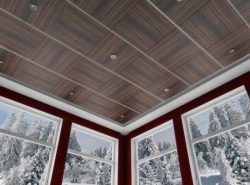 Потолочные панели - это один с недорогих и доступных способов отделки вашего потолка
