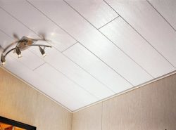 Обшивка потолка сэндвич-панелями - наименее затратный и самый чистый вариант отделки любого помещения
