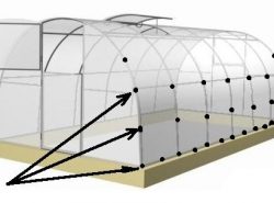 Как правильно крепить поликарбонат на теплицу должен знать каждый дачник