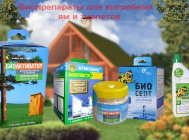 Не все знают о существовании средств, которые позволяют держать дачный туалет в порядке и чистоте